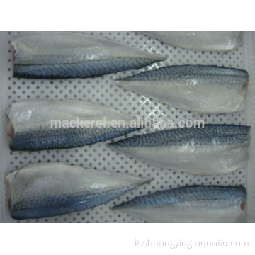 Filetto mackerel del pacifico congelato a caldo